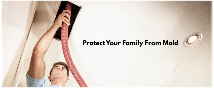 Air Duct Mold Removal in Grand Prairie